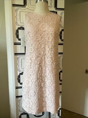 Sleeveless Lace Mini Dress in Light Pink